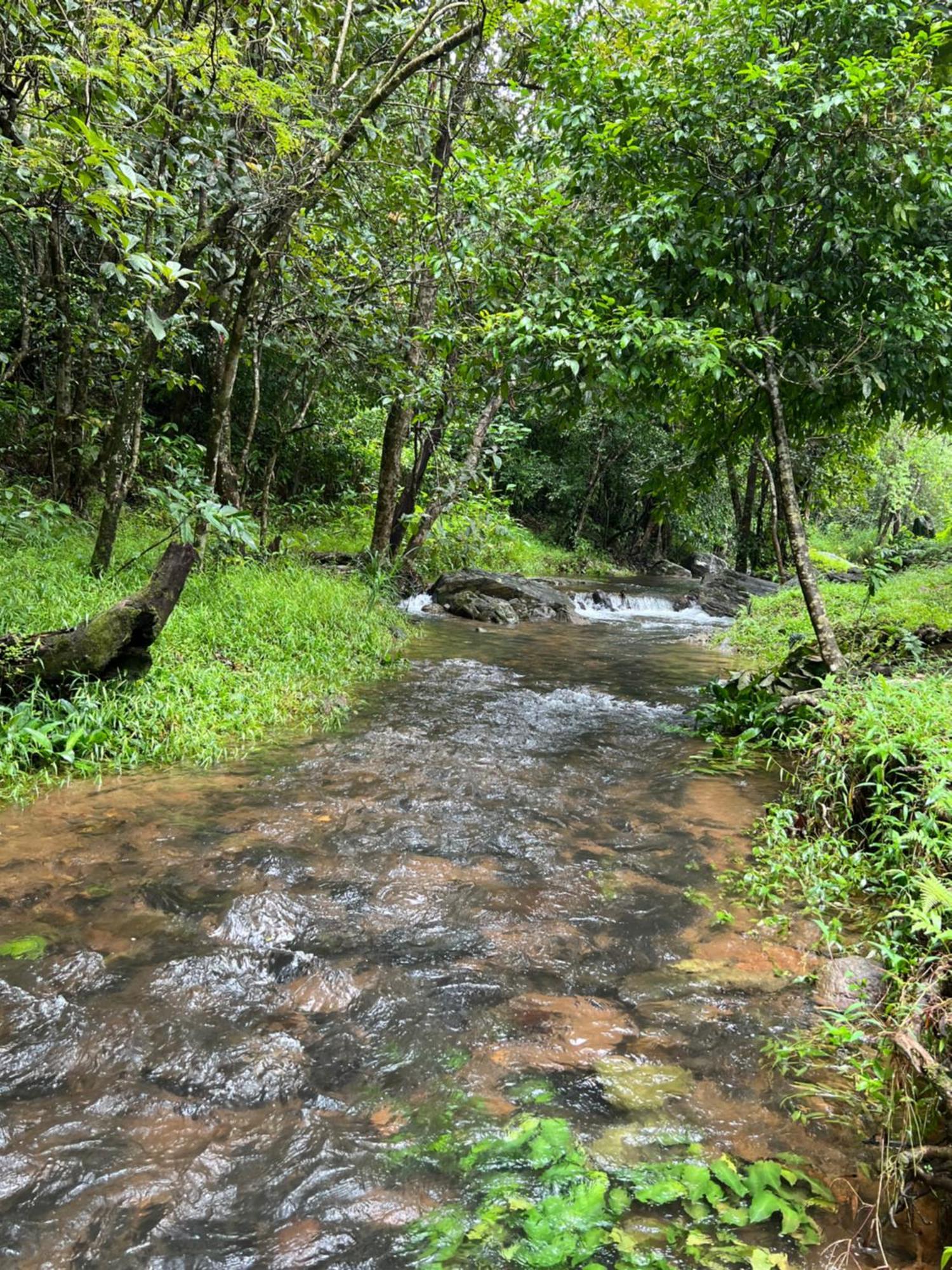Hotel Abad Brookside Wayanad Vythiri Esterno foto