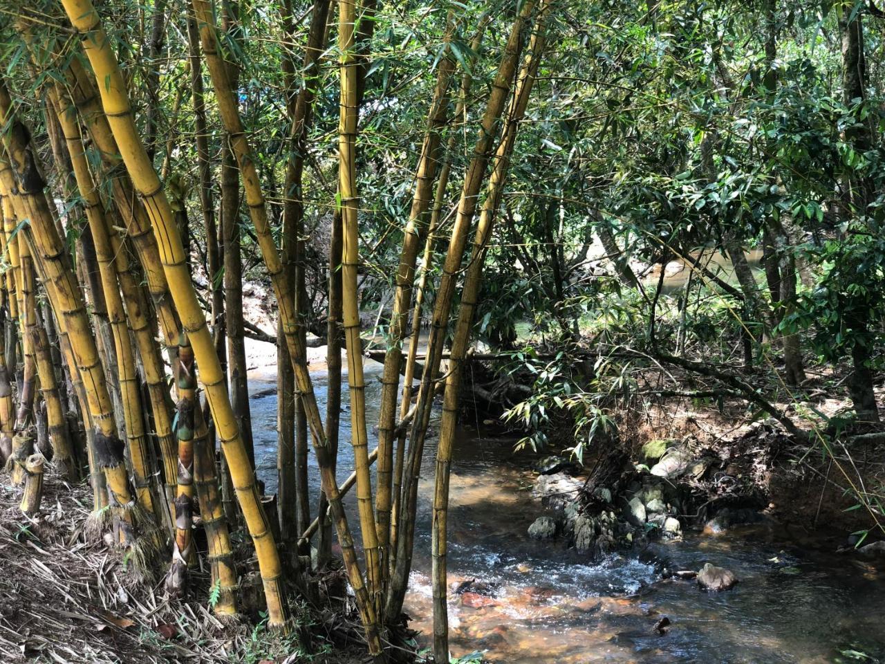 Hotel Abad Brookside Wayanad Vythiri Esterno foto