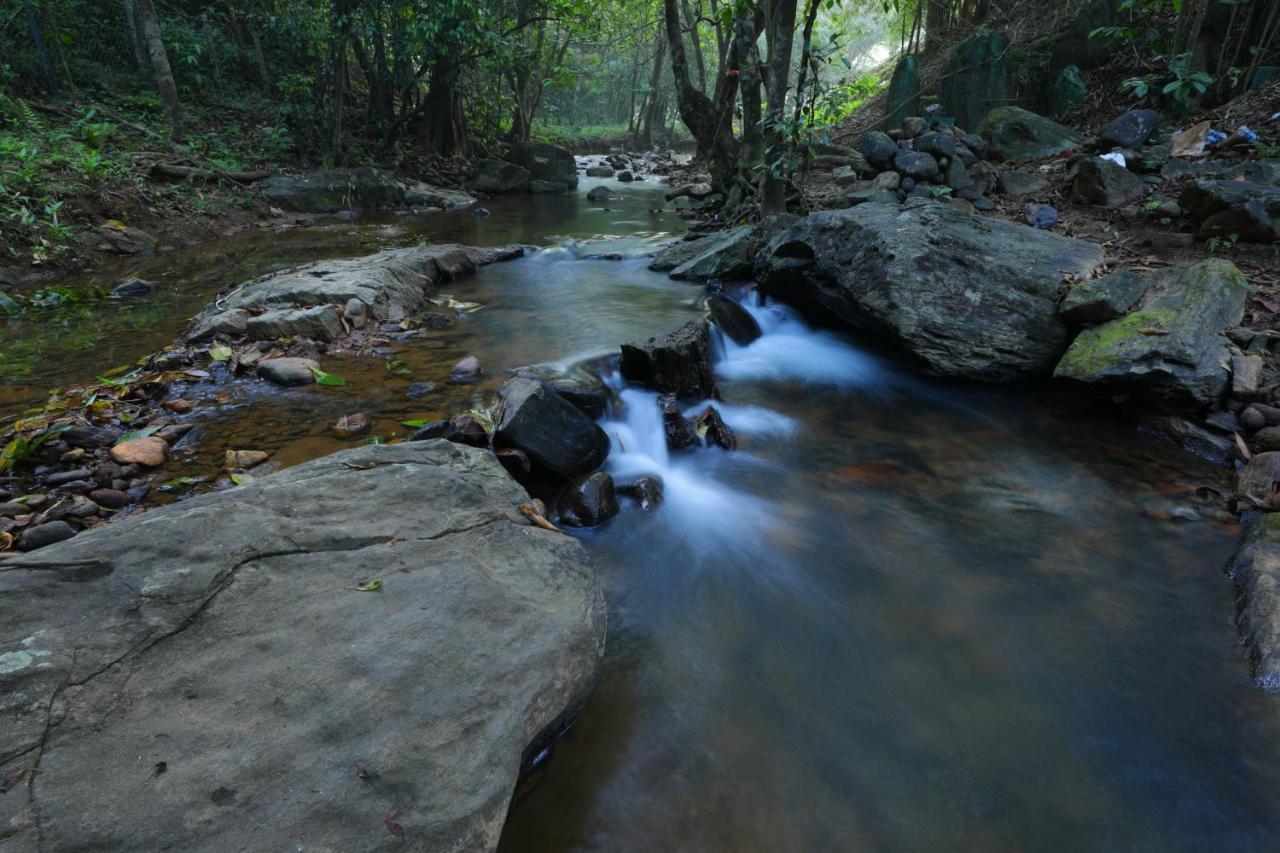 Hotel Abad Brookside Wayanad Vythiri Esterno foto