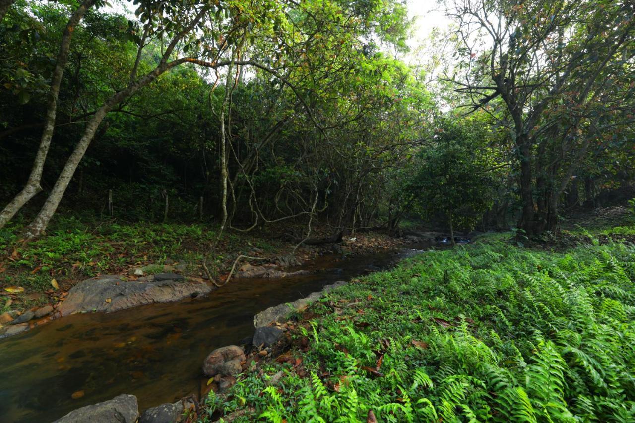 Hotel Abad Brookside Wayanad Vythiri Esterno foto